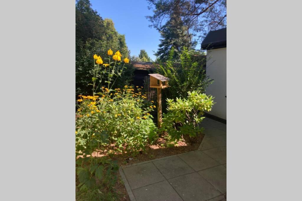 Garden - Welcome To Casa vacanze *